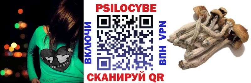 ссылка на мегу наркотики Вичуга Галлюциногенные грибы MAGIC MUSHROOMS